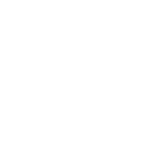 Icon attributes open source white 512