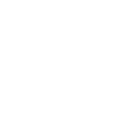 Icon platform diff enhanced security ink 512