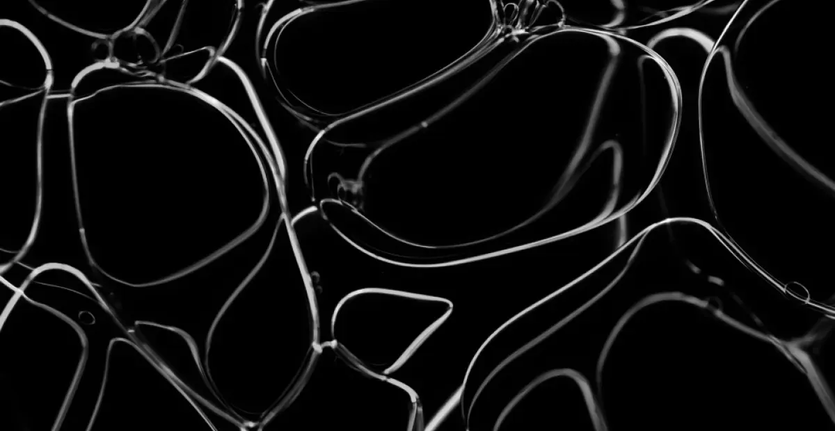 60b56772d7521b21a1cea9aa Celona Blog 10 Self Organizing Network Thumbnail