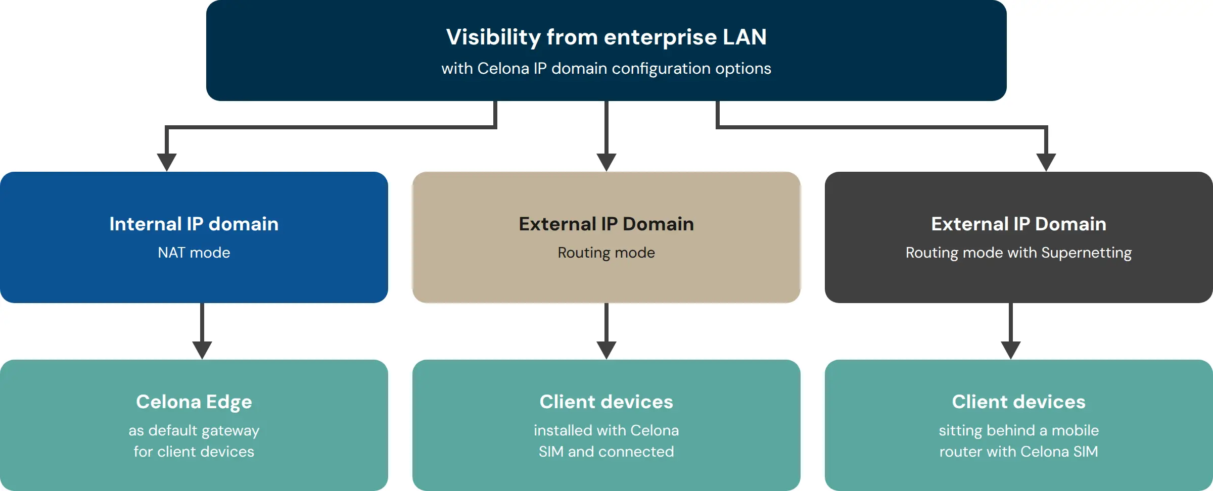 Celona ip domain visibility diagram transparent